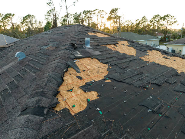 Best Storm Damage Roof Repair  in Dunmore, PA